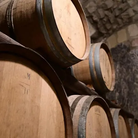 Tenute Del Gheppio Alloggio per agriturismo