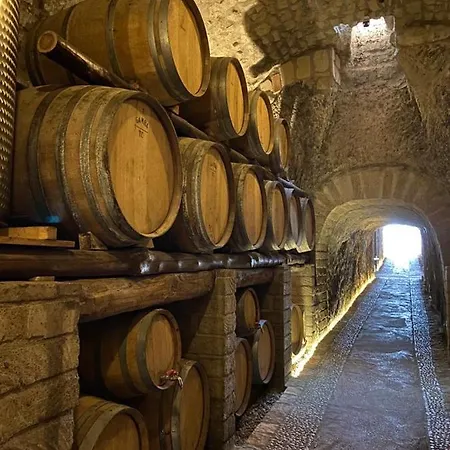 Alloggio per agriturismo Tenute Del Gheppio
